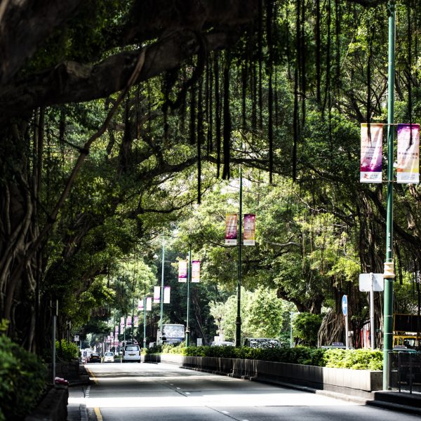 Shade on Nathan Road